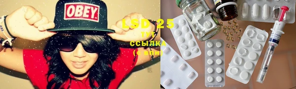 2c-b Ельня