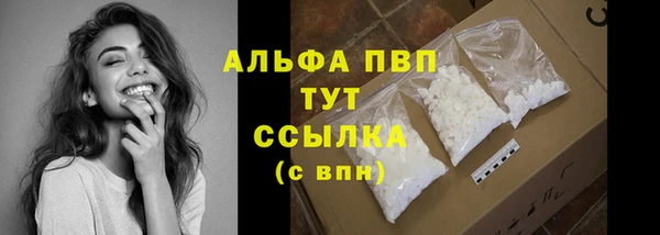 2c-b Ельня