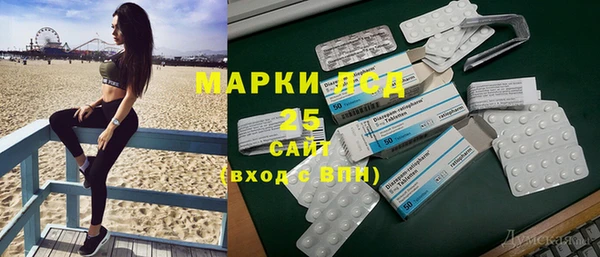 2c-b Ельня