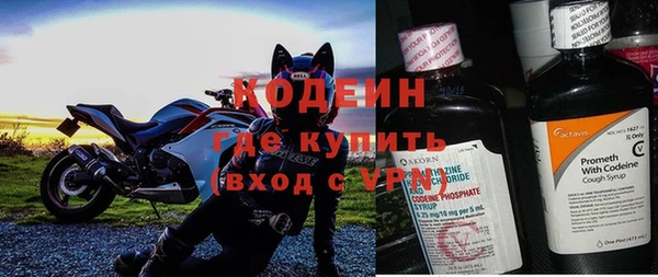 2c-b Ельня