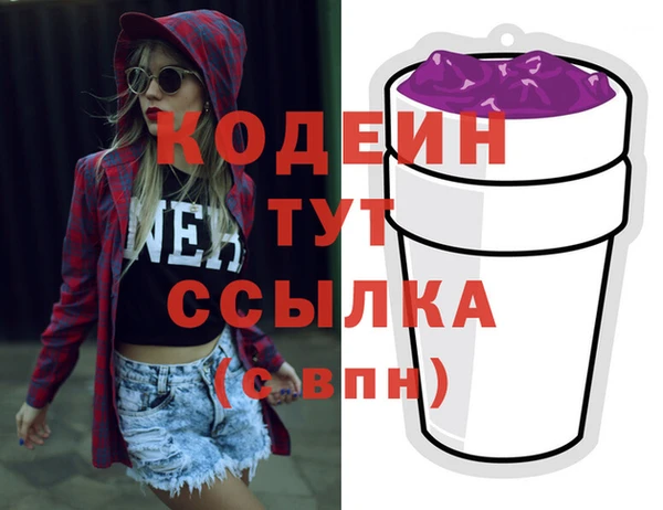 2c-b Ельня